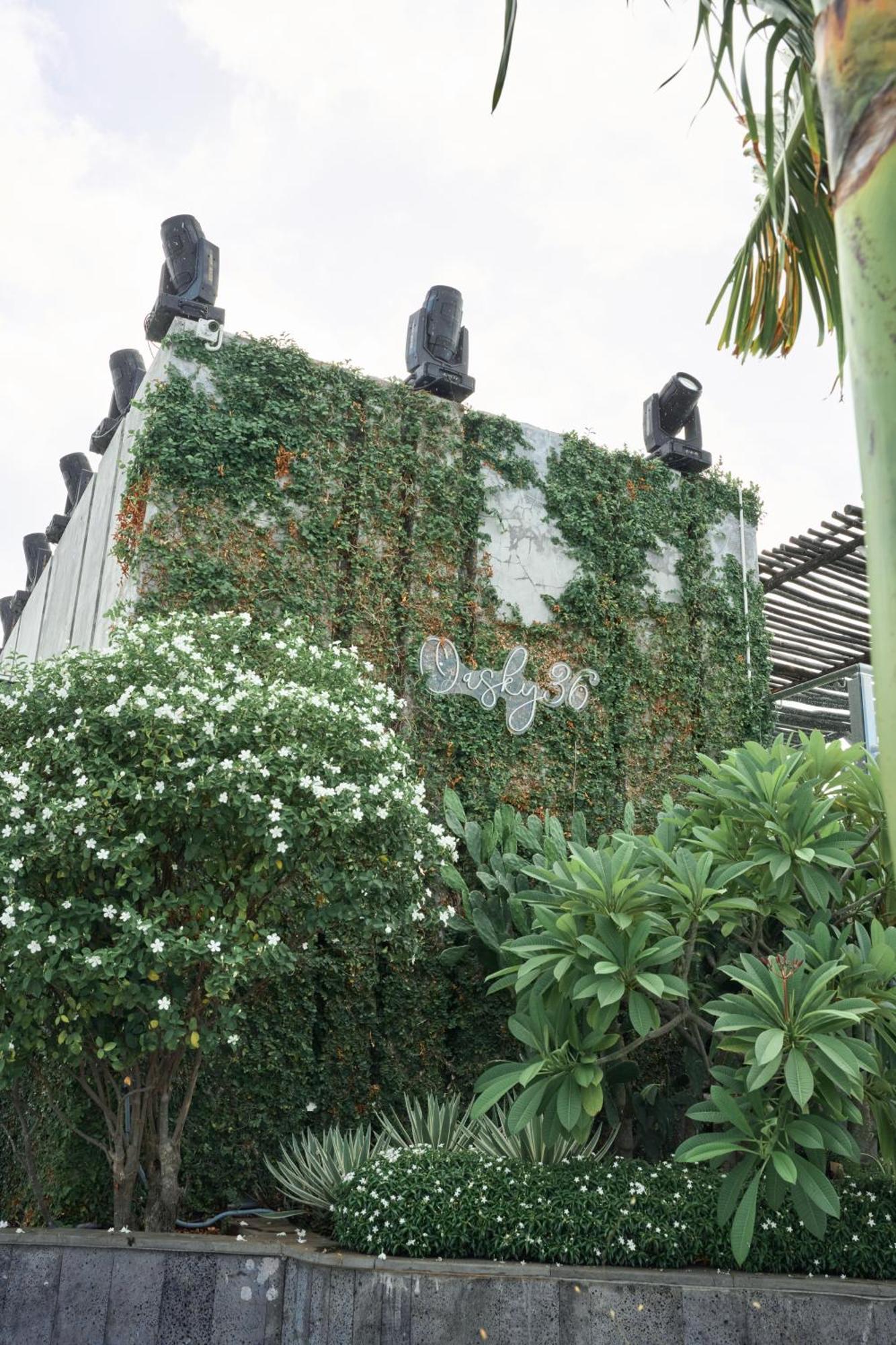 Pooh House 2 - Oasky 3 Bedrooms Apartment Vung Tau Extérieur photo